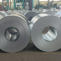 Galvanized Steel Coils